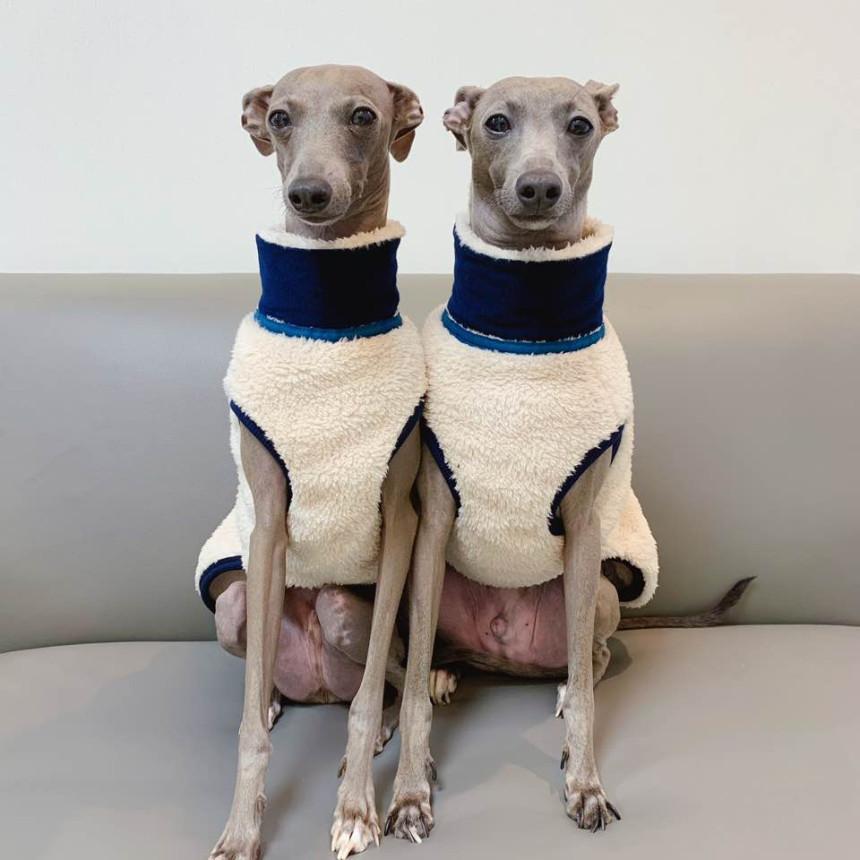 イタグレ 服 ボア フリース ジップアップベスト S M L XL グレー