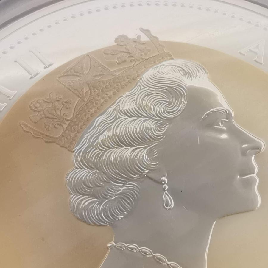 オーストラリア 10ドル銀貨 1995年 10オンス プルーフ 銀貨 カワセミ