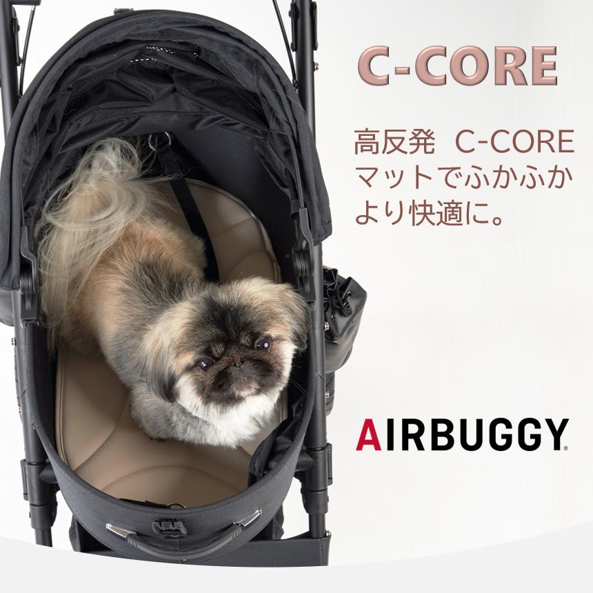 AIRBUGGY（エアバギー） ドーム2 Mサイズ ドーム3 ラージ専用マット C