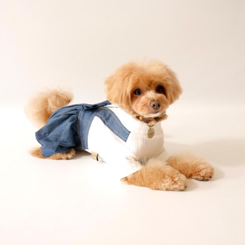 送料無料】かぼちゃパンツ ロンパース ドッキング ドッグウェア