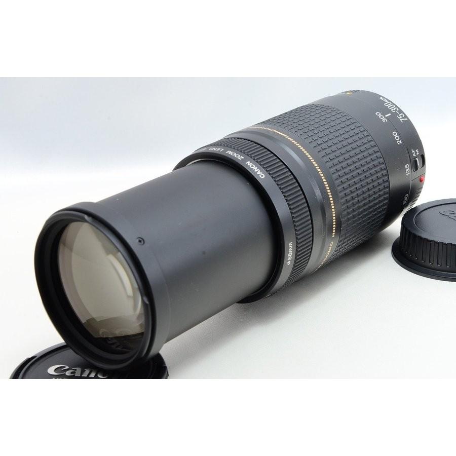 キヤノン（Canon） Canon EOS 70D 超望遠ダブルズームセット 美品 新品