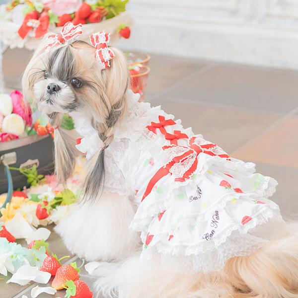 稀少 美品】きゃんナナ いちごキャミワンピ S+Mサイズ