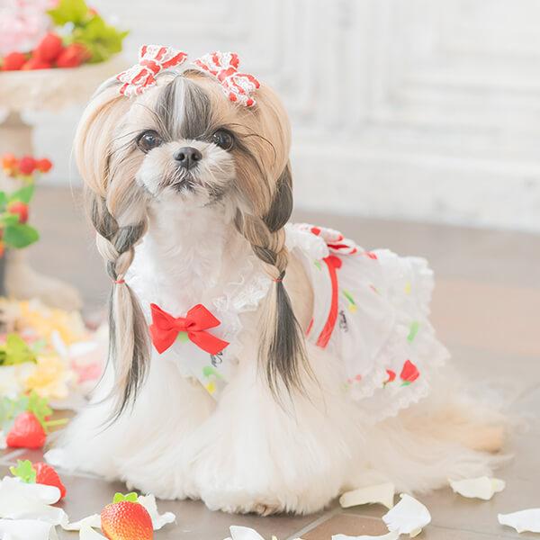CanNana 犬 服 犬の服 春夏 あまいイチゴのCOOLキャミワンピース