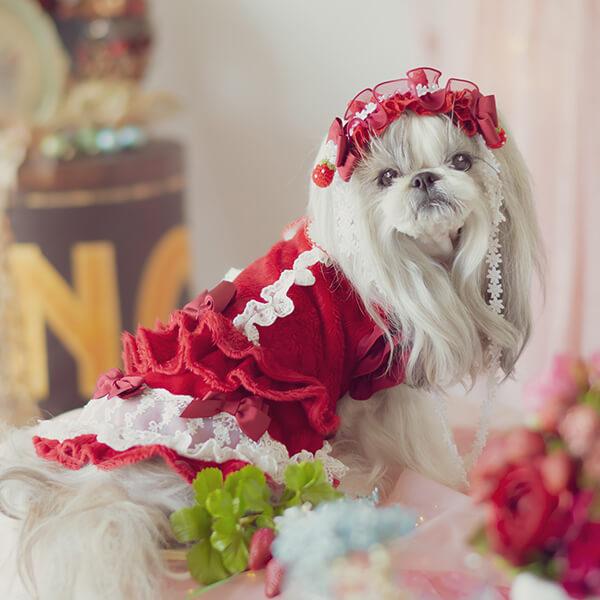 CanNana 犬 犬服 服 秋冬 防寒 ドックウェア ワンピース かわいい