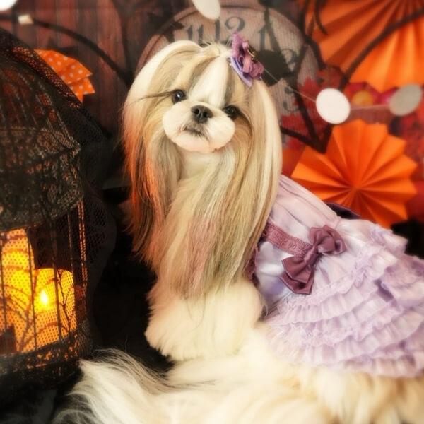 CanNana 犬 服 犬の服 秋冬 サテンドレスアップワンピース プレゼント