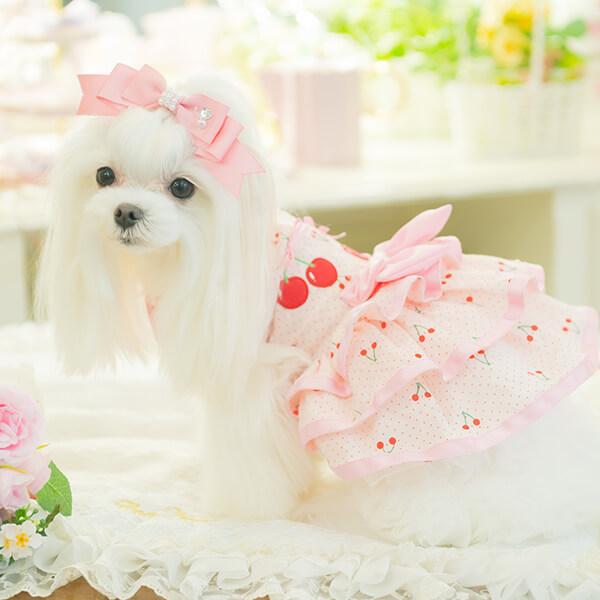 CanNana 犬 犬服 春夏 さくらんぼフレアーワンピース レース