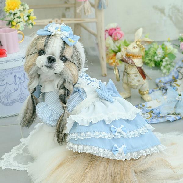 CanNana アリス 不思議の国のアリス ブルー 犬服 ワンピース コスプレ