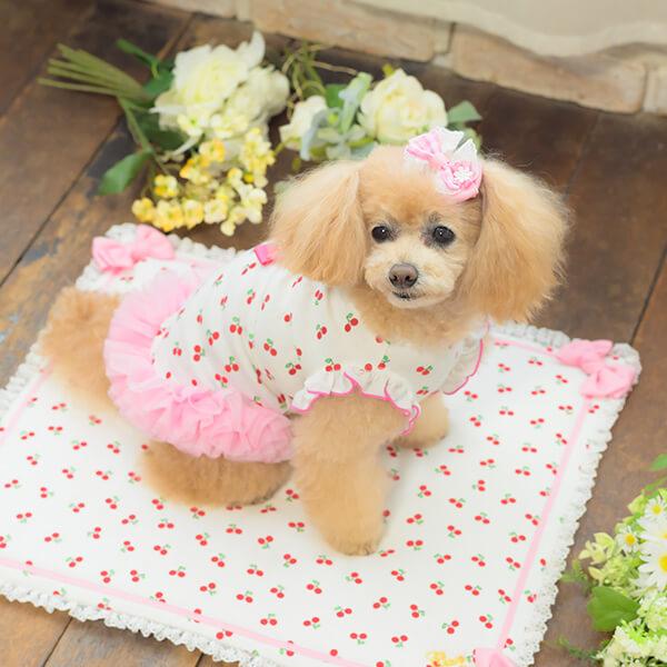 CanNana 犬 犬服 服 春 ドックウェア さくらんぼ チェリー かわいい