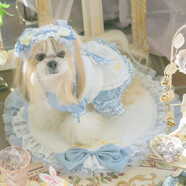 きゃんナナ 犬用リボン付きコート LLサイズ 楽天市場】きゃんナナ