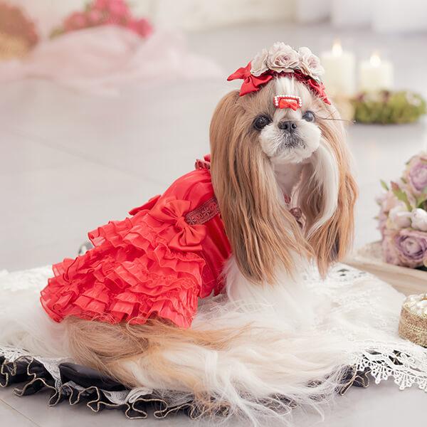 CanNana 犬 ヘッドドレス ローズ 薔薇 アクセサリー リボン アクセ