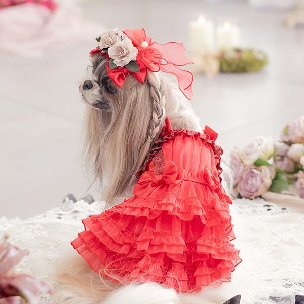 CanNana 犬 アクセサリー リボン バレッタ プレゼント ギフト きゃん