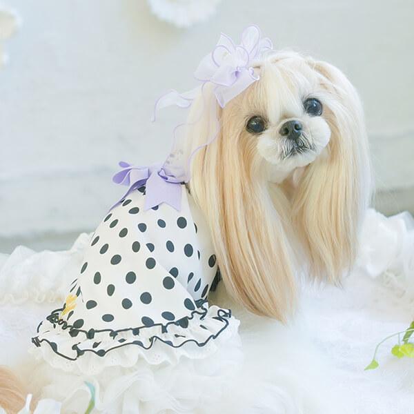 CanNana 犬 アクセサリー リボン バレッタ プレゼント ギフト きゃん