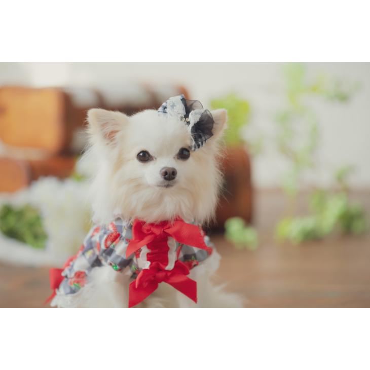 CanNana 犬 服 犬服 春夏 いちごプリンセスワンピース ワンピース