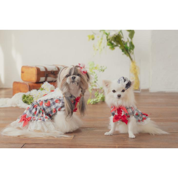 CanNana 犬 服 犬服 春夏 いちごプリンセスワンピース ワンピース