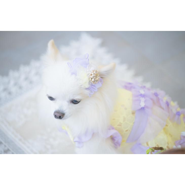 犬服 SS わんこの普段着 ラベンダー小花 犬服 SS わんこの普段着