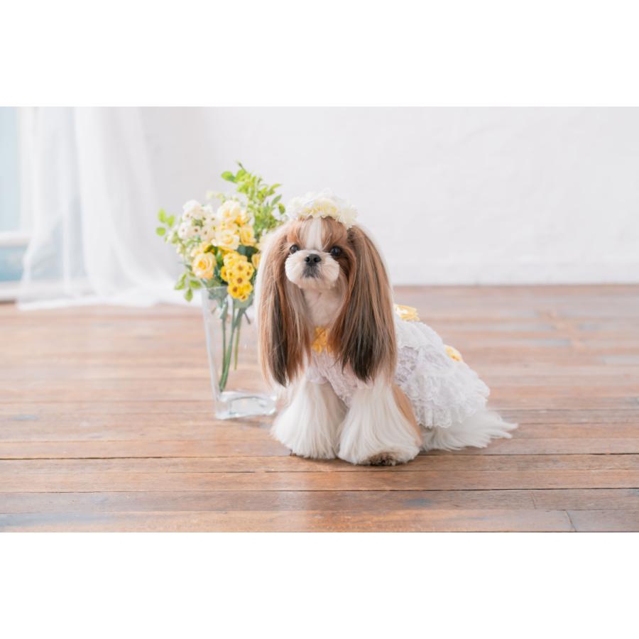 CanNana 犬 服 犬の服 ワンピース 夏 サマーレースワンピース 涼しい