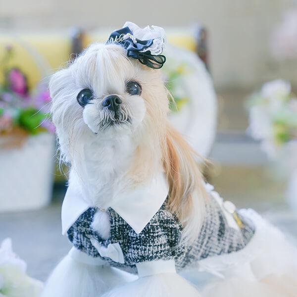 CanNana 犬 アクセサリー リボン バレッタ プレゼント ギフト きゃん