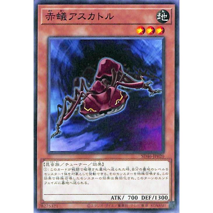 遊戯王 WCQ 2011 5D's 赤 75枚 未使用品 美品 遊戯王 WCQ 2011 5D's 赤