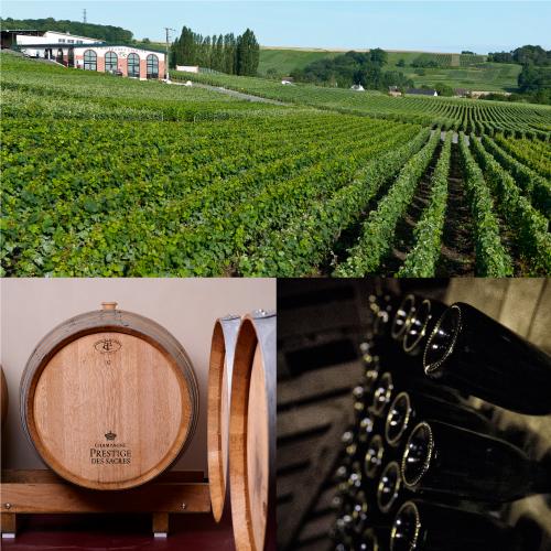 シャンパン プレスティージュ デ サクレ キュヴェ グルナ ミレジメ