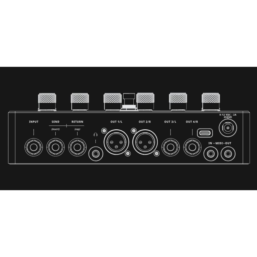 Darkglass Electronics Anagram ベース用マルチエフェクター 送料無料