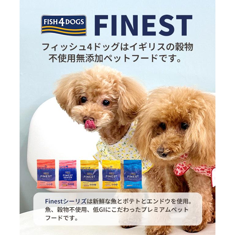 FISH4DOGS FINEST フィッシュフォードッグ ファイネスト オーシャン