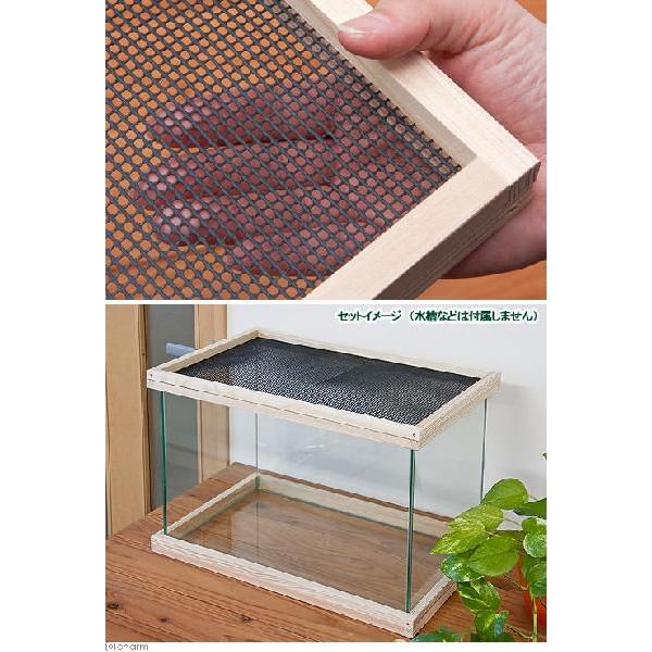 爬虫類ケージ45 飼育セットつき