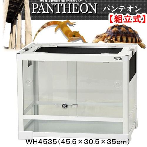 Free LIFE様 パンテオン4535 2台セット Free LIFE様 パンテオン4535 2