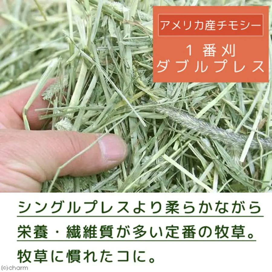 業販価格】US産 チモシー 120kg 2番刈り ソフトSプレミアム 牧草市場