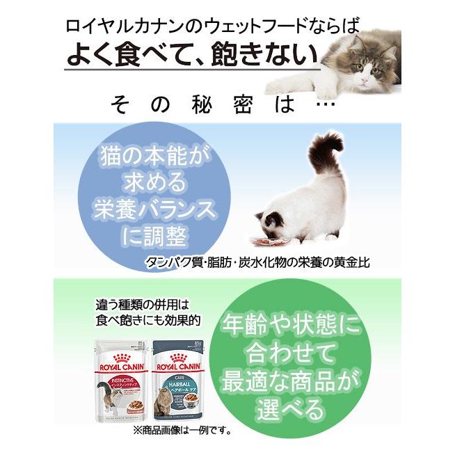ロイヤルカナン（ROYAL CANIN） 猫 ライトウェイトケア 減量したい成猫