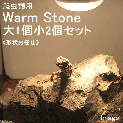 爬虫類バスキングスロープ15