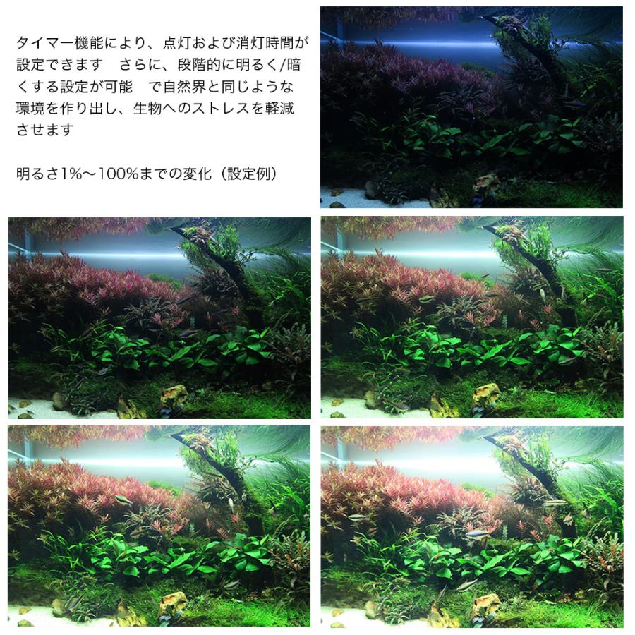 Chihiros LED WRGB2 30 10周年モデル ブラック