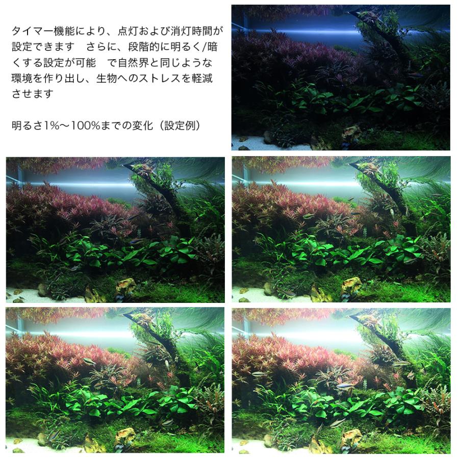 Chihiros LED WRGB2 45 10周年モデル ブラック