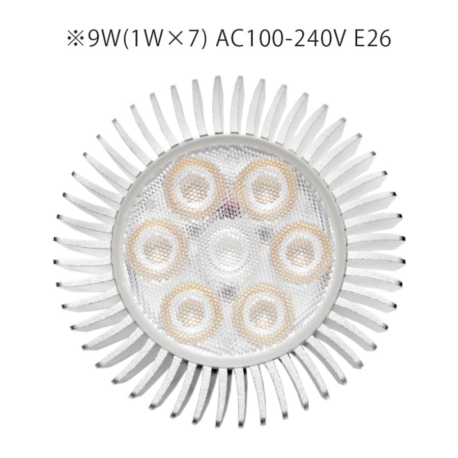 バイタルウェーブ2 バイオレット 9W 水槽 ライト 照明 : チャーム