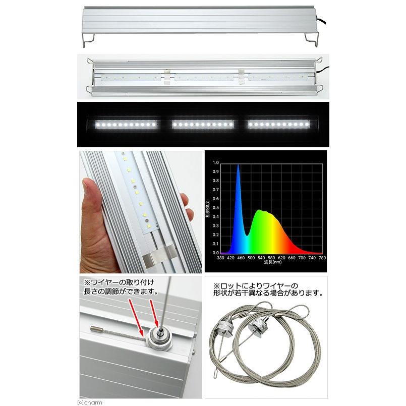 アクロ triangle 60cm Grow and Bright 2本セット 楽天市場】アクロ