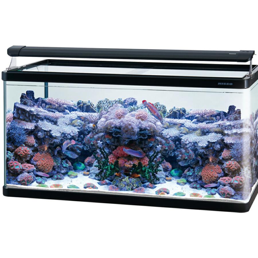 ニッソー （大型）ニッソー スティングレー900・ストロングマスター