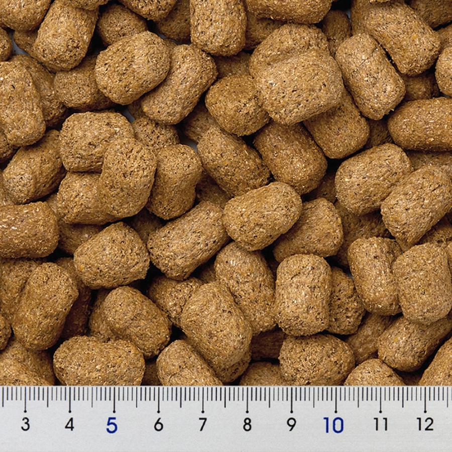 Mazuri（マズリ） トータス・ダイエット 560g 5M21−S