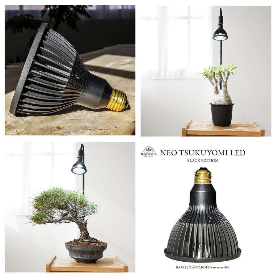 NEO TSUKUYOMI ネオツクヨミ LED