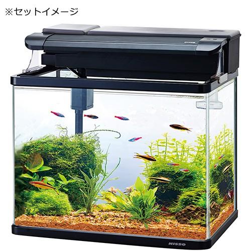 ニッソー ニッソー スティングレー450H LED熱帯魚セット