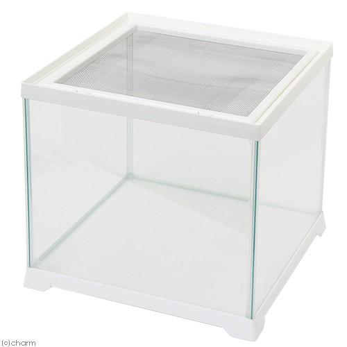 GEX（ジェックス） 爬虫類ケージ レプテリア ホワイト 300キューブ