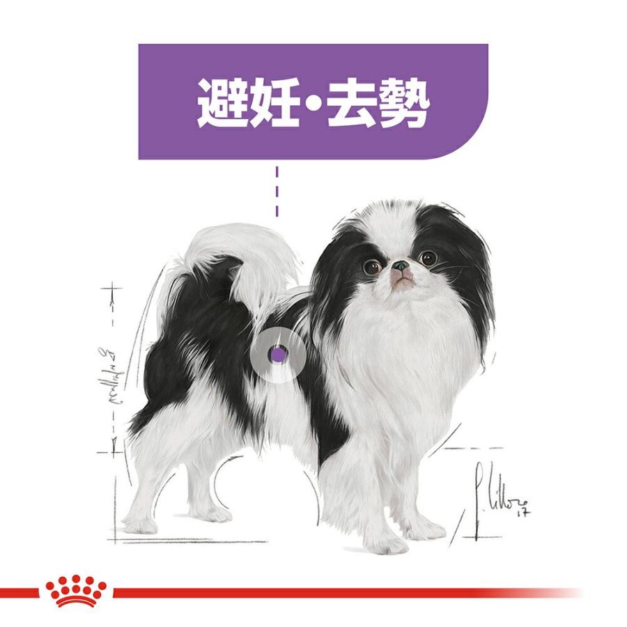 ロイヤルカナン（ROYAL CANIN） 避妊・去勢犬用 超小型犬用 エクストラ