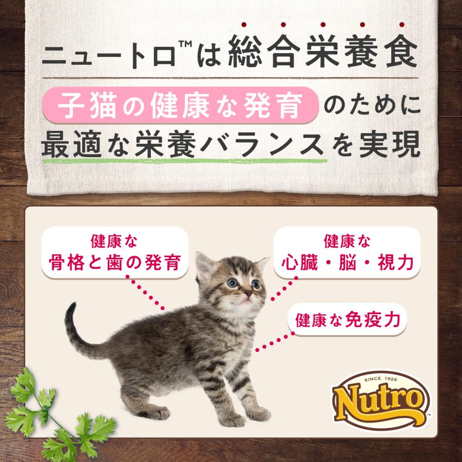 WILD RECIPE ニュートロ 子猫 キャット ワイルド レシピ キトン チキン