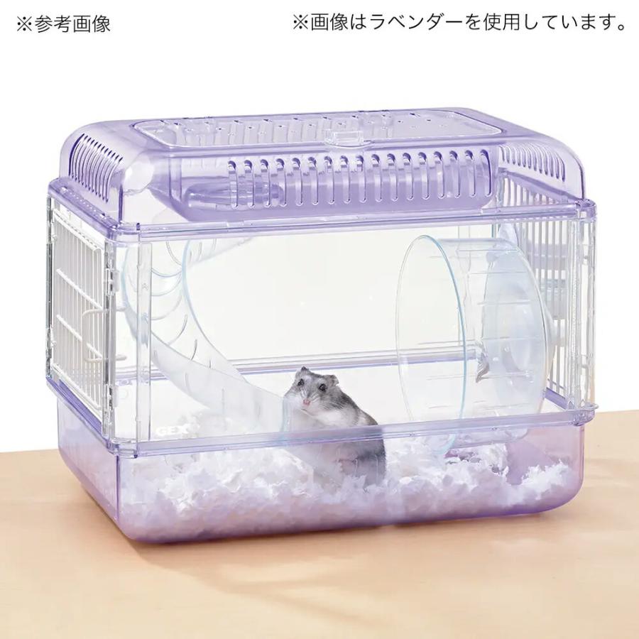 GEX クリアフロント30飼育セット（ケージ＆敷材＆給水器