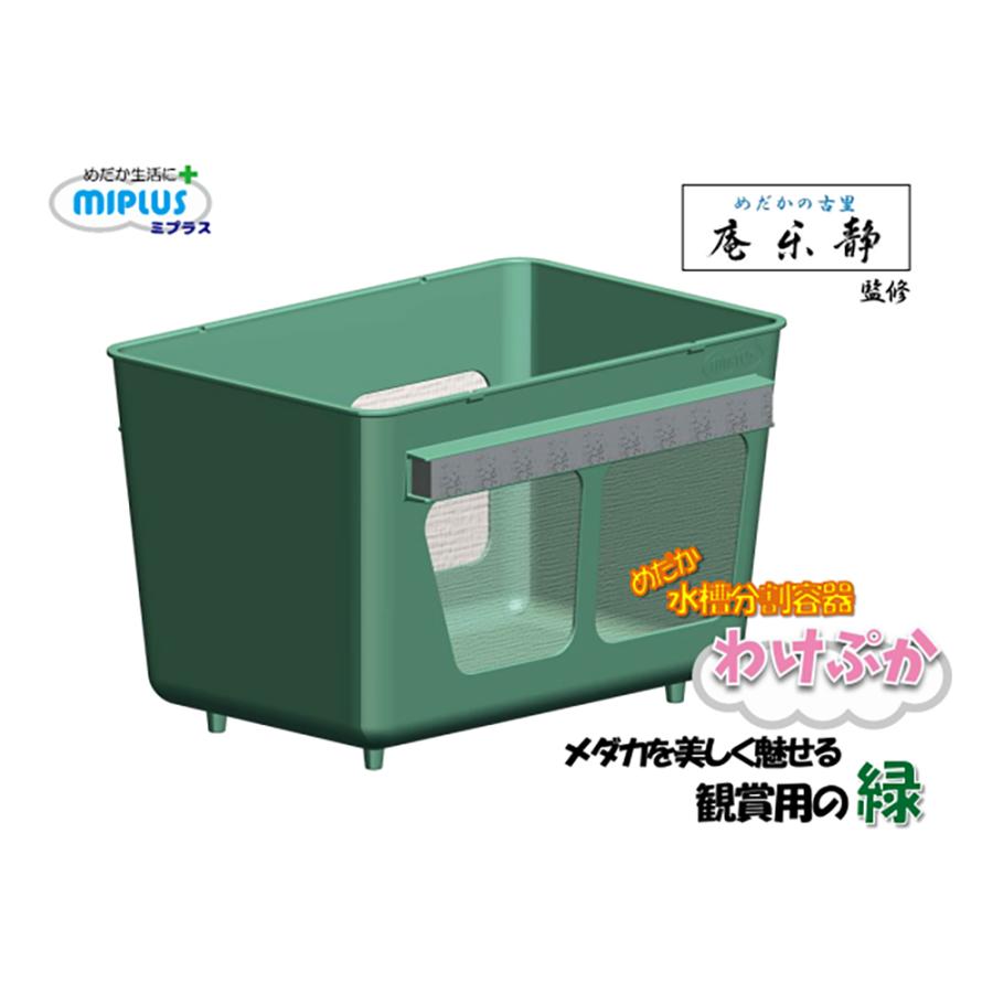 MIPLUS ミプラス 水槽分割容器 わけぷか 緑色 : チャーム charm ヤフー