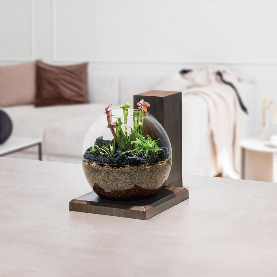 GEX（ジェックス） 水槽セット グラスアクア PERCO B−Dark