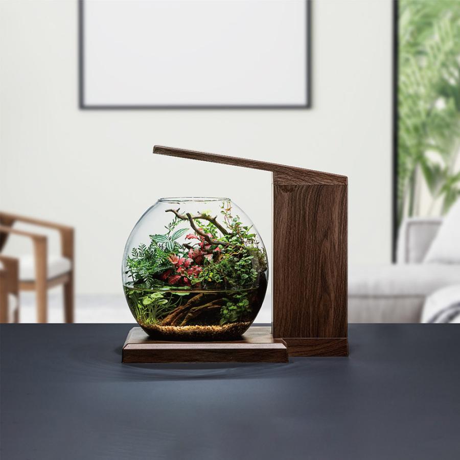 GEX（ジェックス） 水槽セット グラスアクア PERCO B−Dark