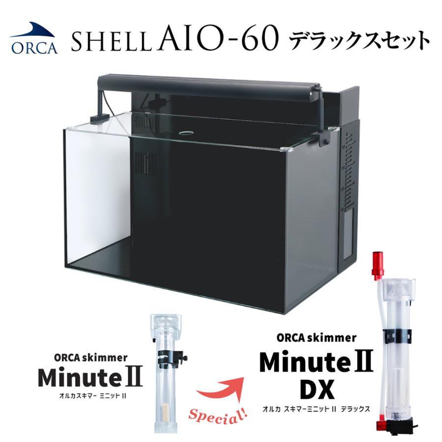 やっちゃん Shell 水槽 やっちゃん様専用 Shell 水槽