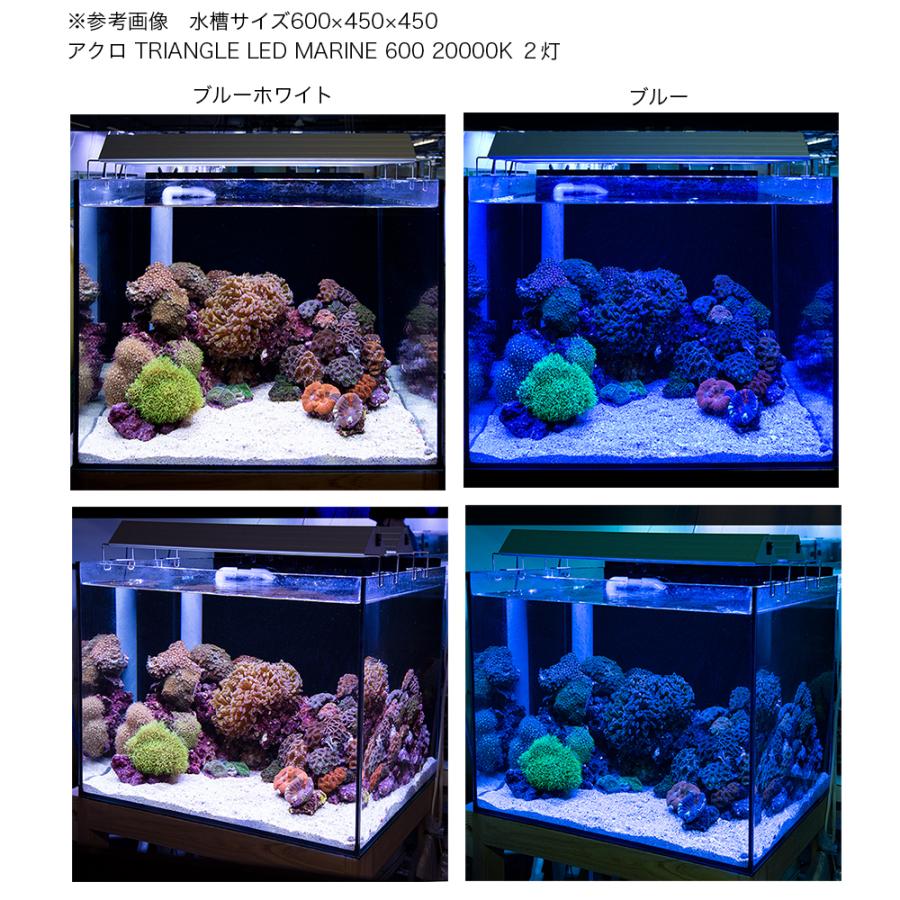 アクロ TRIANGLE LED MARINE 600 20000K