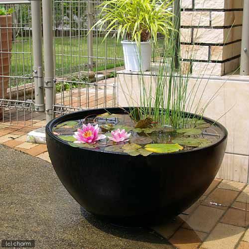 Leaf Corp 睡蓮鉢 睡蓮鉢（メダカ鉢） 凛 RIN 丸型 ブラック M