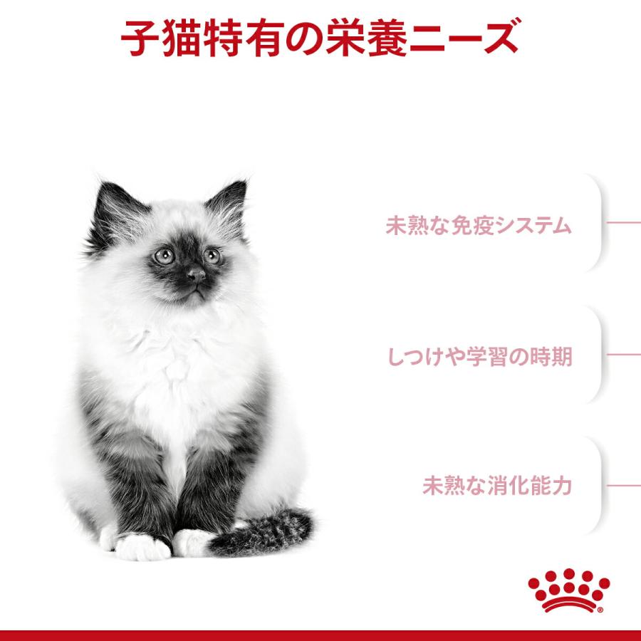 ロイヤルカナン（ROYAL CANIN） 子猫 キトン 成長後期の子猫用 生後
