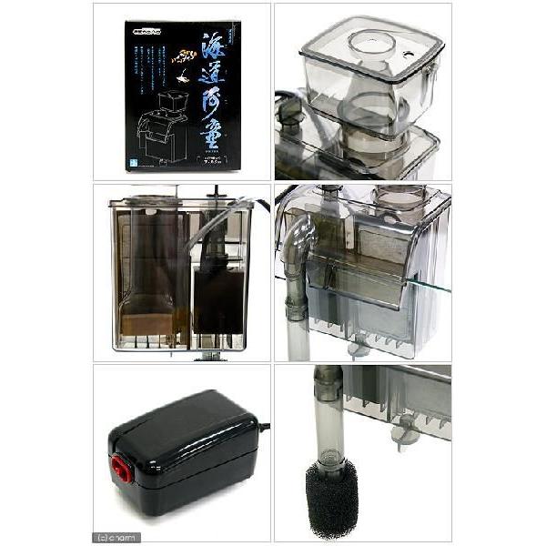 カミハタ プロテインスキマー 海道河童フィルター（小） 海水 外掛式